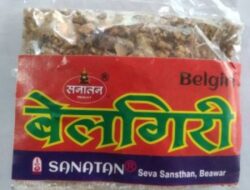 Belgiri for puja Purpose (pack of 2 pouch 30 gram)