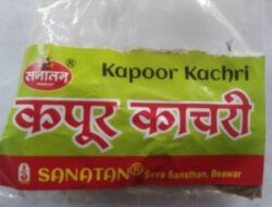 Kapoor Kachri - Kapur Kachri - kachli - Ginger Lily - karchuralu - Hedychium Spicatum - Ekangi - Spiked Gingen Lily - कपूर कचरी, pack of 2 small pouch