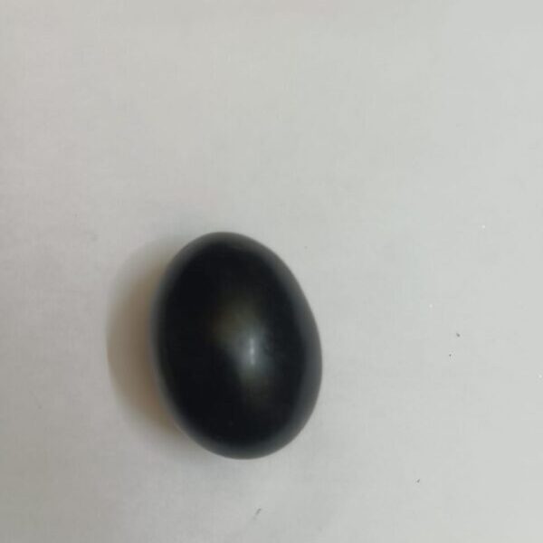 Natural Black Stone Shaligram Shila for Pooja for Divine Blessings