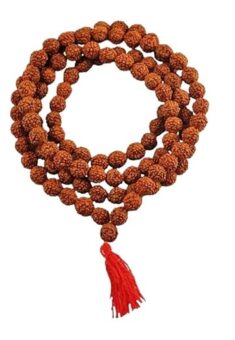 Rudraksha Japa Mala 108+1 Beads Original for Mantra Jaap and Puja Red